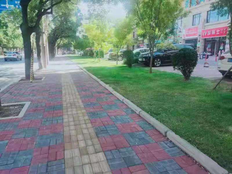 542条提升改造！河北邯郸实施主城区背街小巷改造提升专项行动