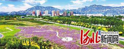 喜迎冬奥盛会 交出优异答卷丨涿鹿县聚焦首都“两区”绘就和谐相融新画卷