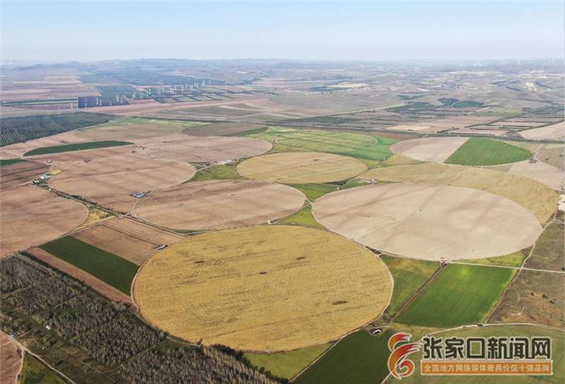 张家口塞北管理区深秋美如画