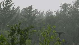 暴雨来袭！他们逆水而行！雄安这个地方亮了