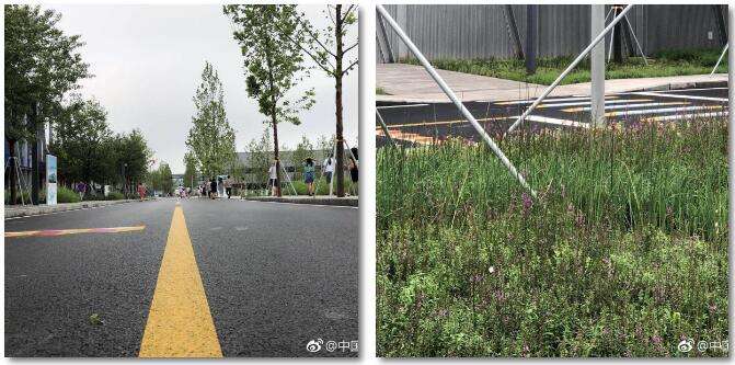 暴雨来袭！他们逆水而行！雄安这个地方亮了