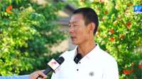 【奋进新征程 建功新时代】沿着的足迹丨平山县北庄村：“团结村”唱响乡村“振兴曲”