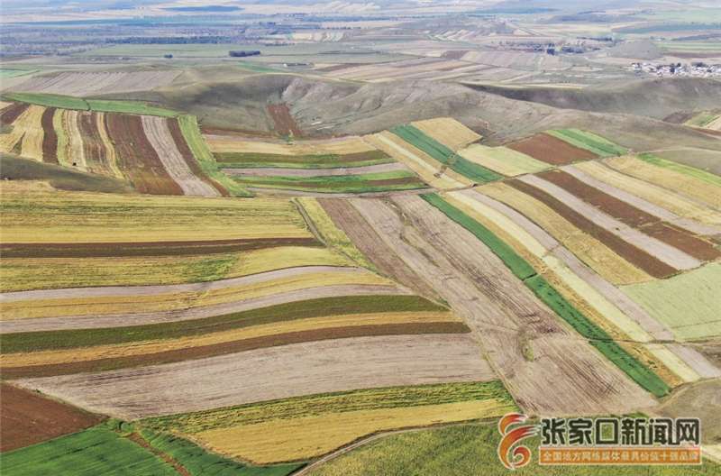 张家口塞北管理区深秋美如画