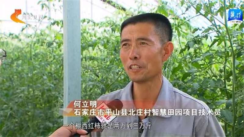【奋进新征程 建功新时代】沿着的足迹丨平山县北庄村：“团结村”唱响乡村“振兴曲”
