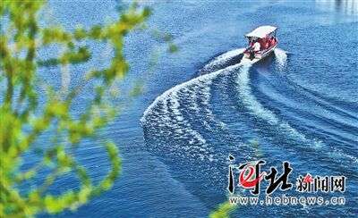 【雄安纪行】加快生态修复 再现淀泊风光