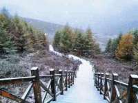 白雪到访“雪如意”！崇礼迎来初雪，冬奥的脚步更近了
