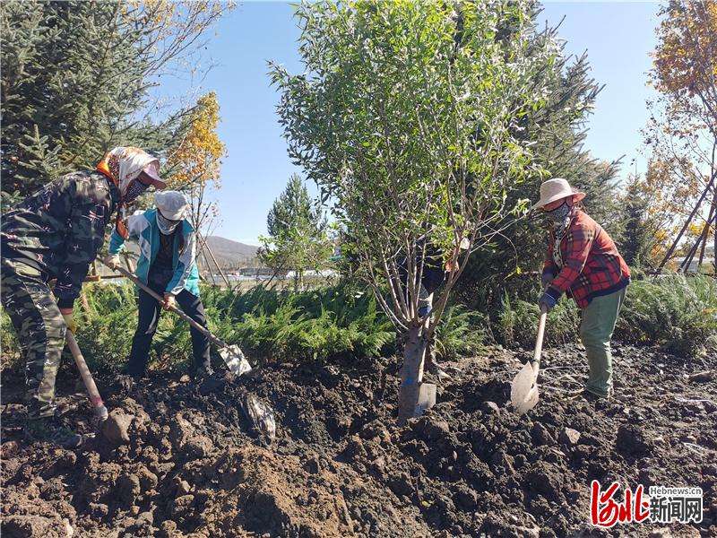 相约冬奥 | 张家口崇礼：绿色办奥助推绿色转型