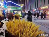石家庄市万达广场火车头步行街（二期）正式开街