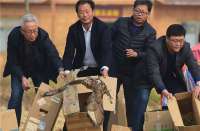 河北沧州：放飞康复伤病鸟