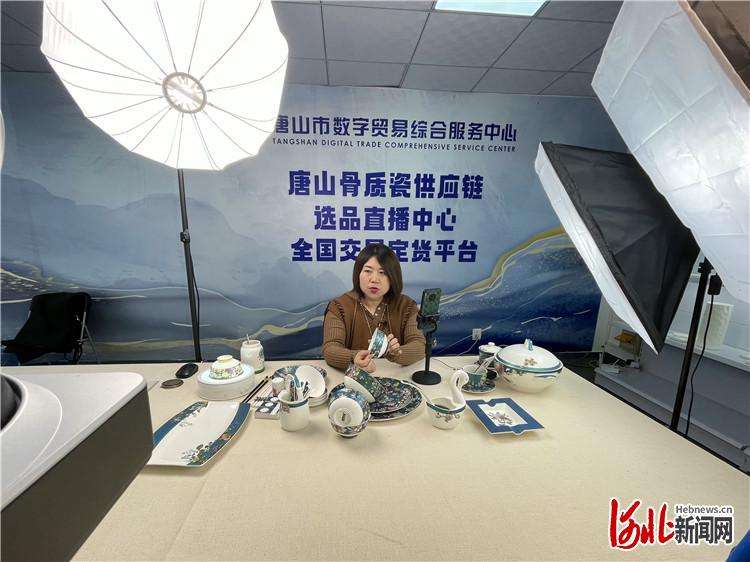 电子商务从消费品延向工业品 唐山推动数字贸易产业发展