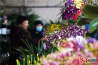 遵化：花卉市场为佳节添“春”色