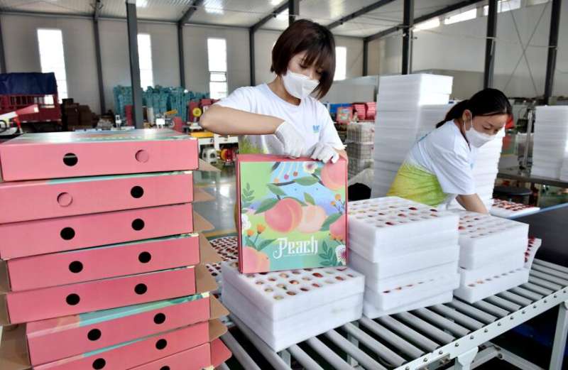 家乡农产品“云端”卖——河北威县“80后”返乡青年电商创业记