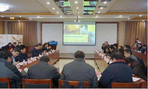雄安列出“树种名录”建议 城市森林优先选择