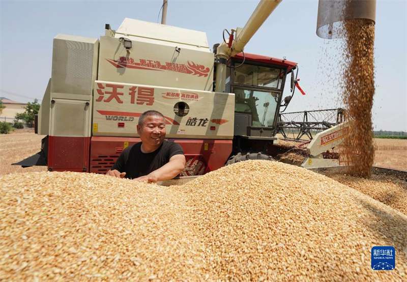 长城微评 | 保障粮食安全③增产增收，守护好“国粮仓”