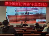 邢台王快镇开展新任“两委”干史学教育