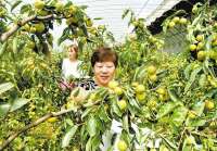 基层建“项目”破解堵点难点
