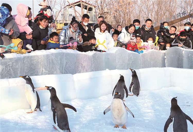 唐山：乐享冰雪迎冬奥