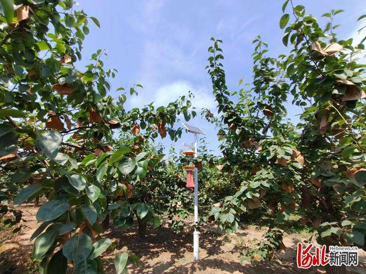 祝贺！河北这30家农场获评“级生态农场”称号