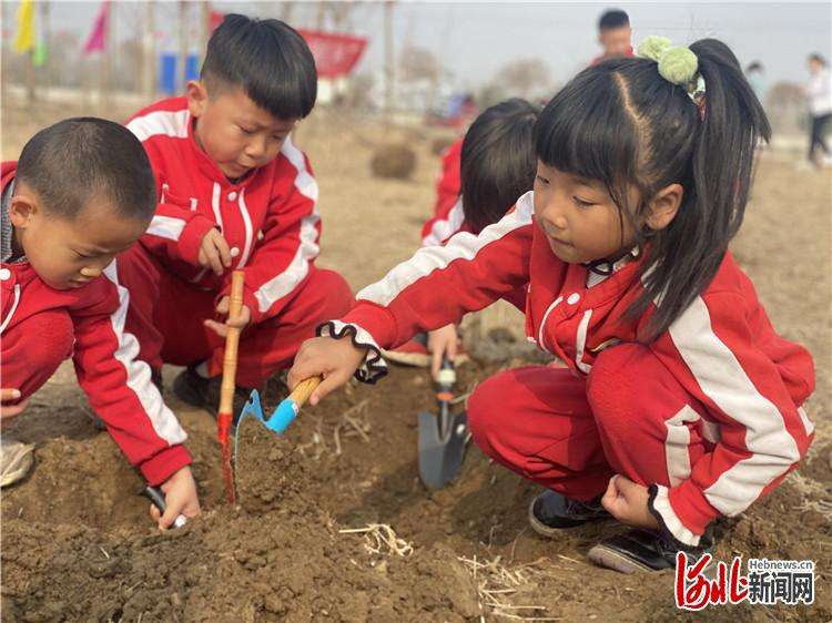 河北三河：手拉小手 植树添新绿