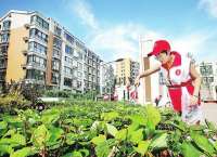​张家口市文明创建“印记”随处可见