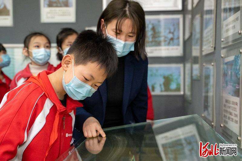 河北邢台南宫：清明时节忆英烈  “树”下铭初心