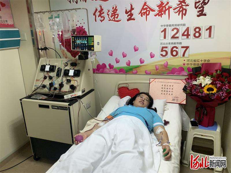 河北邢台“爱心园长”成功捐献造血干细胞