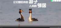 长城新媒体《归来》型融媒体报道小分队出发