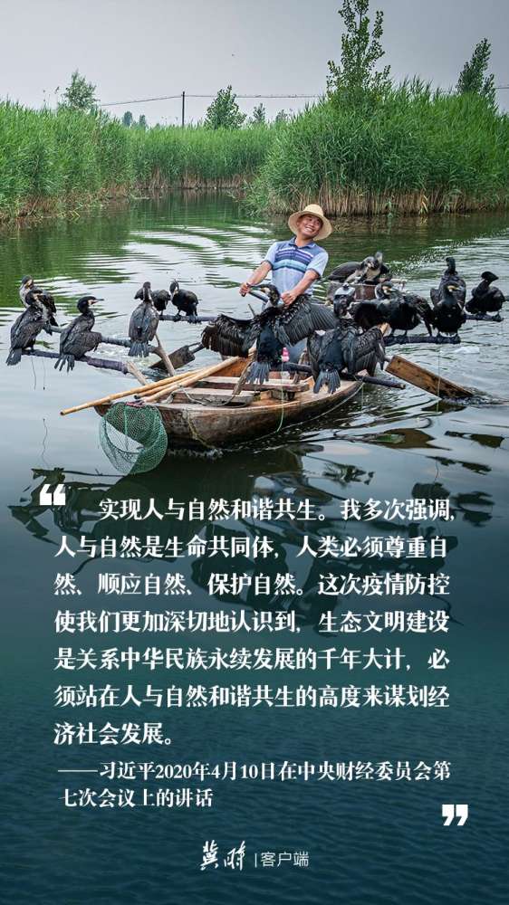 【冀时海报】世界环境日 | 这样阐述生态文明
