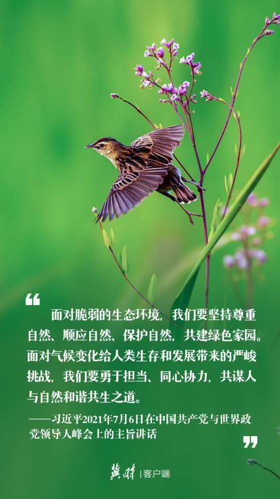 【冀时海报】世界环境日 | 这样阐述生态文明