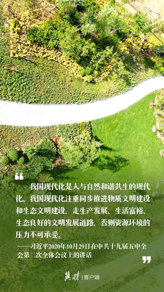 【冀时海报】世界环境日 | 这样阐述生态文明