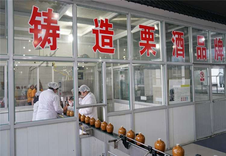 河北唐山迁西：板栗深加工 趟出致富路