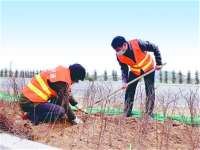 邢台市南和区抢抓春季公路美化绿化工作