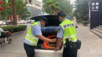 河北邯郸交巡警制定防汛抗洪道路交通管理应急预案