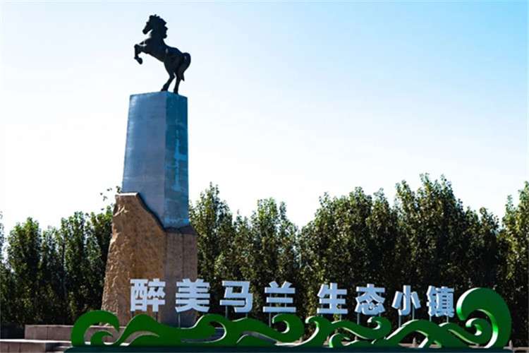 马兰庄镇委荣获“满意的公务员集体”称号