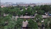 Vlog｜舌尖上的“端午”，与“粽”不同