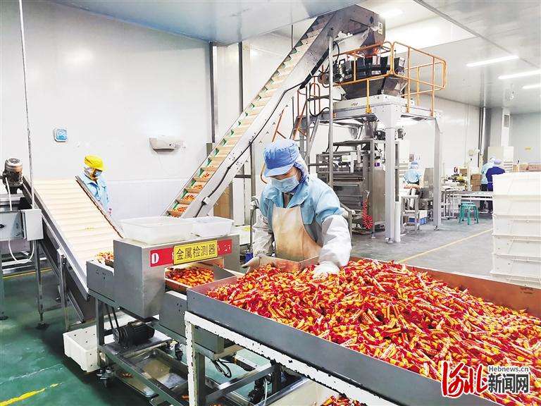 定兴实施食品产业链精准招商 打造休闲食品之都