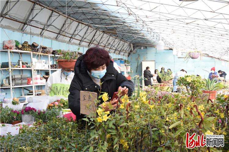河北三河：鲜花“小产业”拓宽致富路