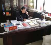 邢台岗底村：“村支书”拜年