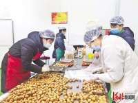 河北临城打造核桃种植深加工富民产业