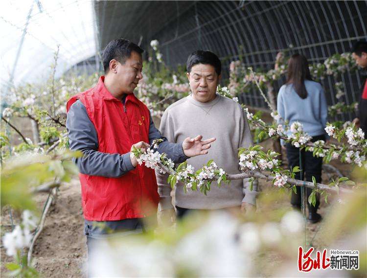 固安：人勤春早农事忙