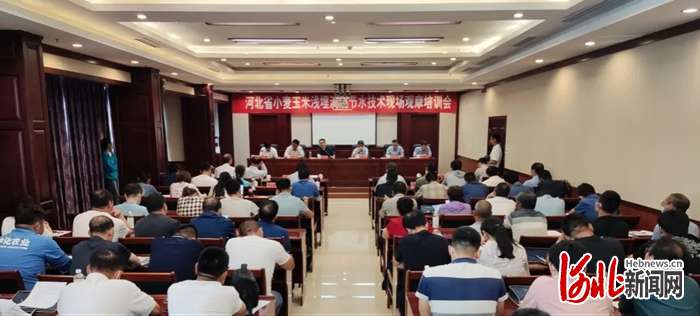 河北小麦玉米浅埋滴灌技术观摩培训会在邯郸肥乡