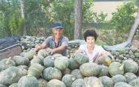 涿州：绿色产业引领乡村振兴