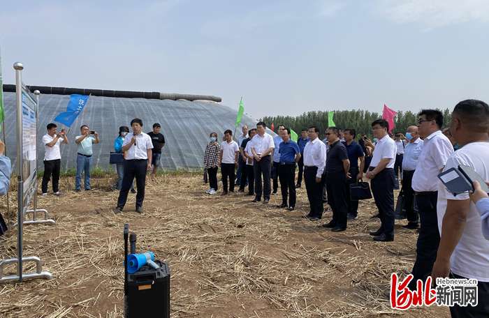 河北小麦玉米浅埋滴灌技术观摩培训会在邯郸肥乡