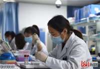 固安县生物医药研发及高端医疗器械制造企业已达56家