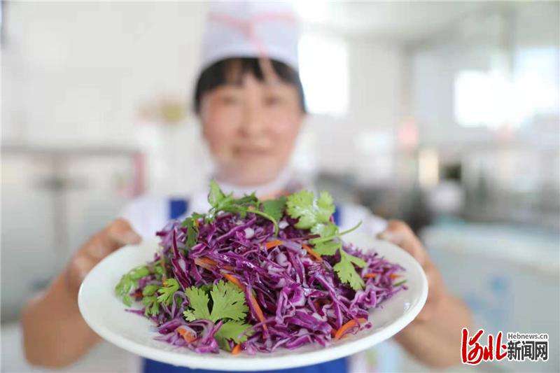 河北张家口：蔬菜产业联盟助力 乡村振兴