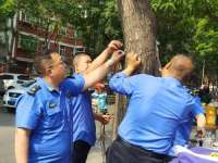 邯郸市“春季护绿”圆满收官
