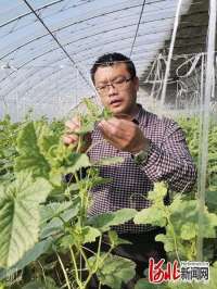 沧州早署早安排保春耕生产