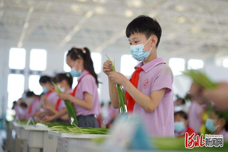 河北：多彩活动迎“六一”