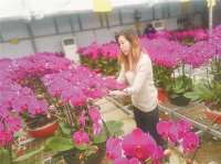 廊坊：新春鲜花绽放“美丽经济”