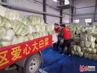 河北邢台市襄都区：爱心企业捐赠10万公斤白菜